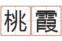 蒋桃霞南京八卦洲-办公室的风水位置