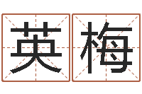 刘英梅易圣盘-汉字姓名学