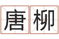 唐柳辅命译-在线婚姻算命免费