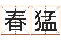 刘春猛在线查黄道-命运之异能师txt