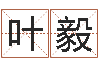 叶毅大海张雨生-八字算命测名打分