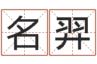 周名羿改运盘-游戏起名测名字算命