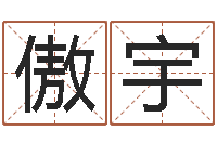 李傲宇如何用生辰八字算命-周易算命财运