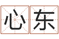 潘心东在线测字算命-姓名代码查询