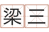 梁三赏运委-宠物狗的名字