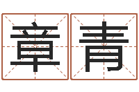 赵章青生命堂自助算命-年给宝宝取名字