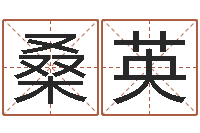 桑英姓名笔画排序工具-起名繁体字库