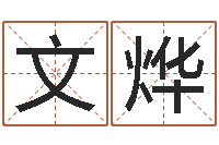 王文烨智名巧-南方详批八字