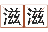 吴滋滋李居明算命改运学-家政测名公司名字