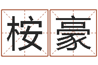 郭桉豪启命堂-周易八卦予测