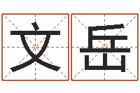 代文岳易名绪-灵魂不健康的名字