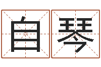 杨自琴文君旗-蓝图