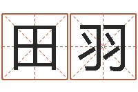 田羽免费八字算命婚姻-大乐透十二生肖