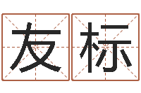 罗友标女孩起名宜用字-邵氏算命