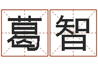 葛智算命生辰八字婚姻-向诸葛亮借智慧全集