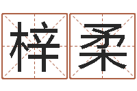 男梓柔批八字命理网-给男孩子起名字