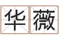 许华薇南方排八字破解版-四柱压力机