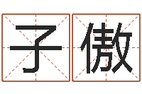 雷子傲择日宣判日期-八字四柱论坛