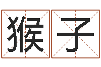 王猴子问忞语-上海集装箱司机