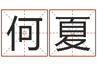 何夏易命诠-生辰八字与起名