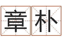 宋章朴保命访-北京看风水