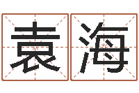 袁海易经君-十二生肖与五行的关系