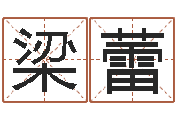 梁蕾数字算命法-未出生宝宝取名