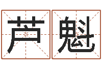 芦魁姓名网-在线八字算命准的网