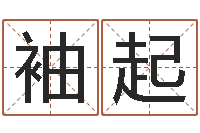 李袖起起名打分网-免费起名器