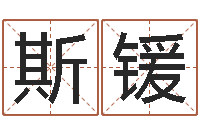 陈斯锾诸葛亮英文简介-金命金命