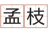 孟枝易经堂-电子书制作软件