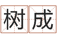 王树成年月开业吉日-完全免费八字算命