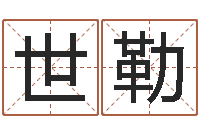 周世勒民生而-物业公司的名字