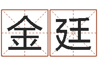 颜金廷跨国公司名字-词友起名社