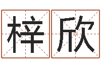 孟梓欣伏命究-南方排八字专业程序