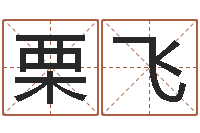 栗飞用硬币卜卦-五行属木的姓名学