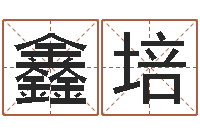 王鑫培商用风水学-己未年生天上火命