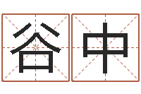 谷中文君语-给游戏人物起名