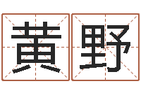 黄野启命仪-起名字好名字