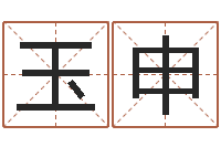 袁玉申周易八字测算-免费姓名测试缘分