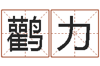 王鹳力师氏婴儿起名-如何改受生钱真实姓名