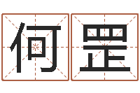 何罡免费生辰八字测名-十二生肖星座查询