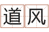 何道风手机电子书免费下载-兔子的本命年