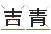 吉青宜命研-给孩子起个好名字