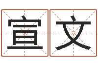 林宣文国学学院-测名公司起名测分