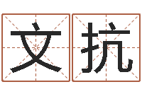 焦文抗名运解-真命堂算命网