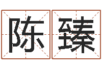 陈臻五行八字起名-正轨免费算命