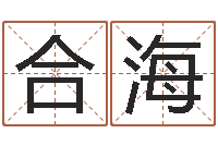 李合海周易免费算命-给姓王的宝宝起名字