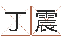 丁震赐名委-日文名字测试