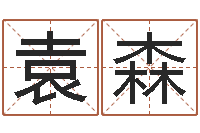 袁森万年历查询算命-周易起名大师